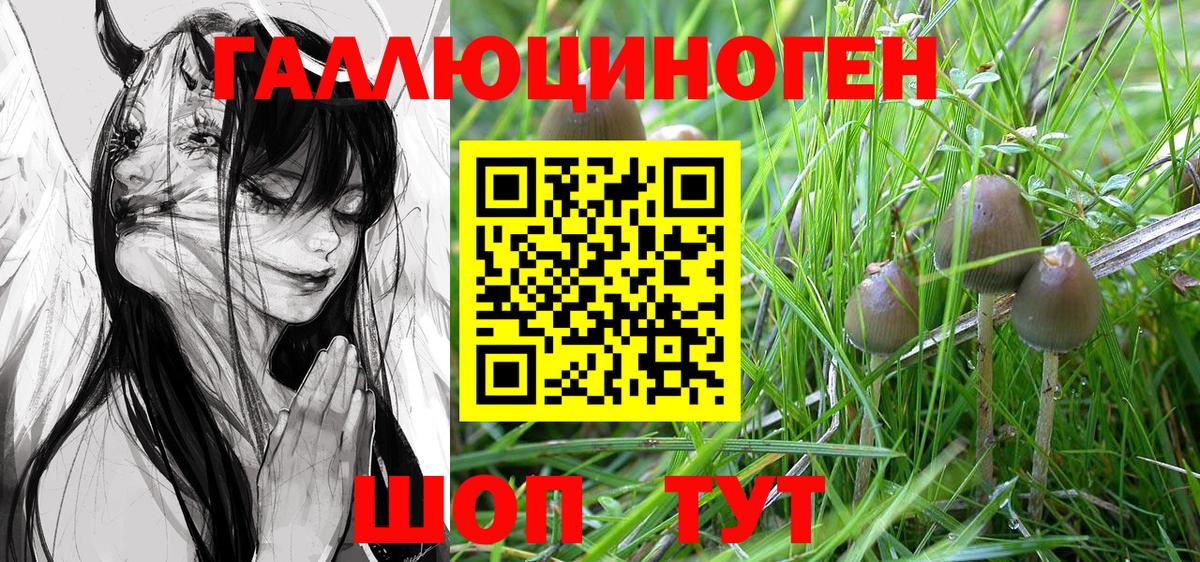 Галлюциногенные грибы Magic Shrooms  Псилоцибиновые грибы MAGIC MUSHROOMS  Зеленогорск  Вход с VPN 